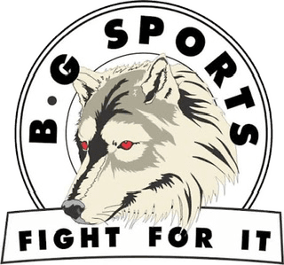 BG Academy logo
